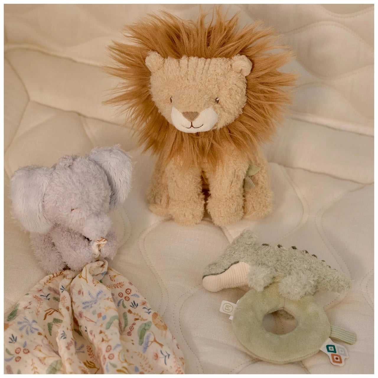 Giftset - Safari