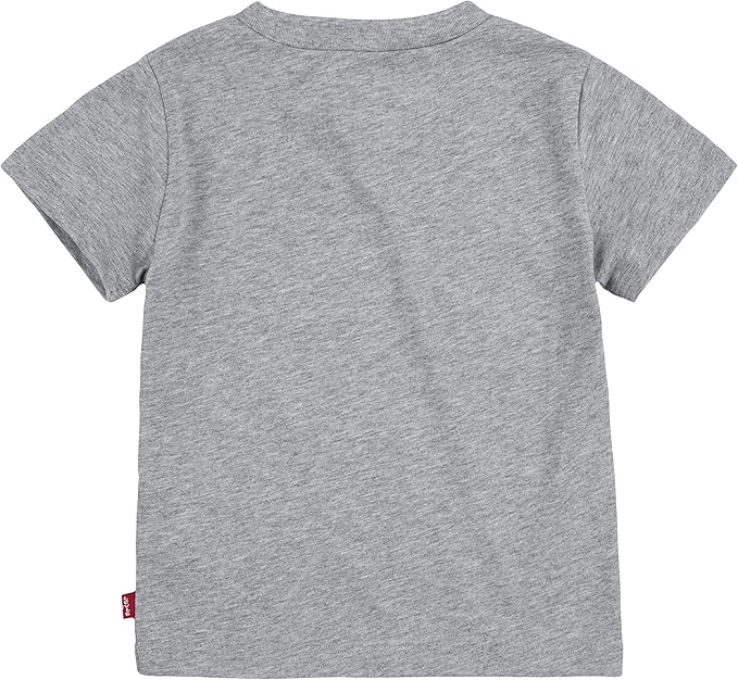Levi's T-shirt - Grijs
