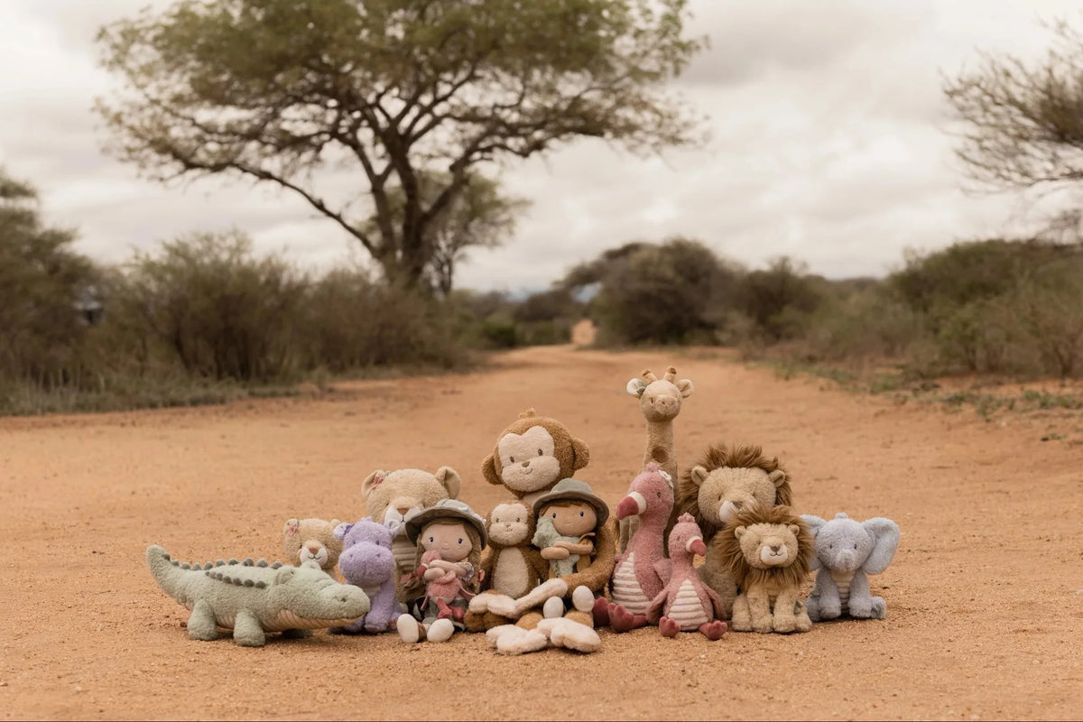 Safari