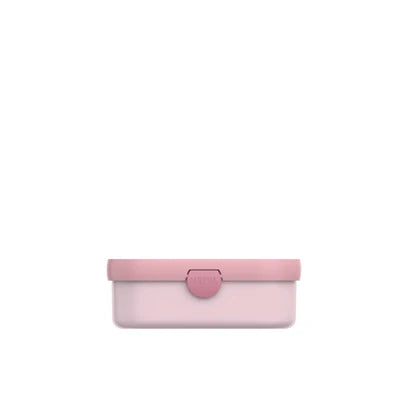 Lunchbox - Fairy Garden