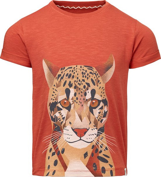 Noppies T-shirt - Grozny