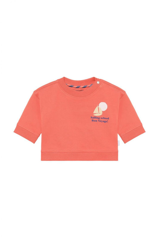 Noppies Sweater - backprint - Burnt Sienna