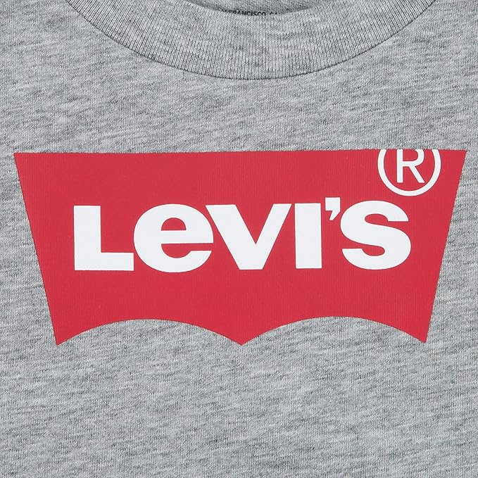 Levi's T-shirt - Grijs