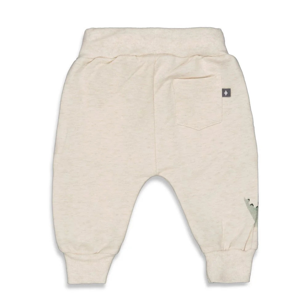 Feetje broek - Cool a Saurus